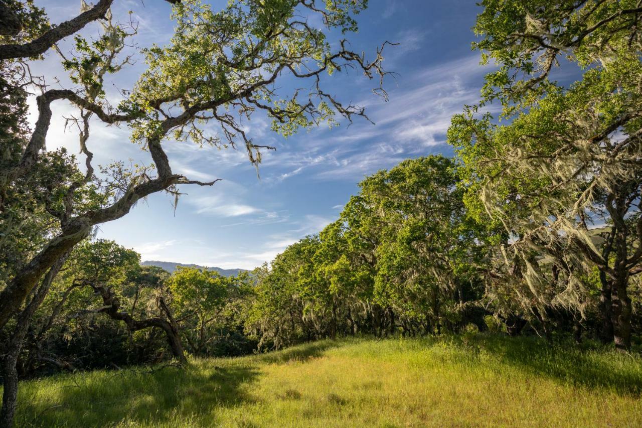 The Camp At Carmel Valley Eksteriør bilde